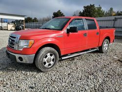 Salvage cars for sale from Copart Memphis, TN: 2012 Ford F150 Supercrew