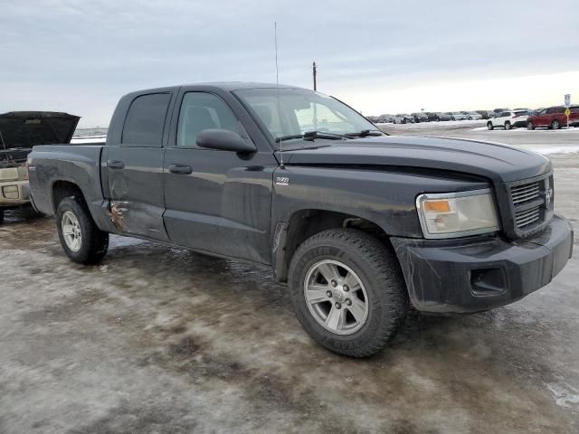 2011 Dodge Dakota SLT