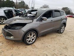 Salvage cars for sale at China Grove, NC auction: 2013 Ford Escape SEL