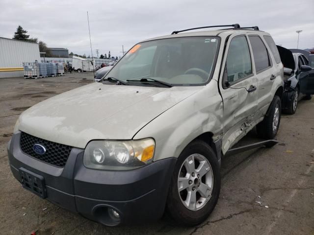 2005 Ford Escape XLT