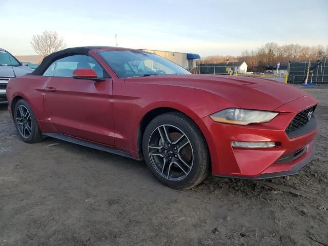 2020 Ford Mustang