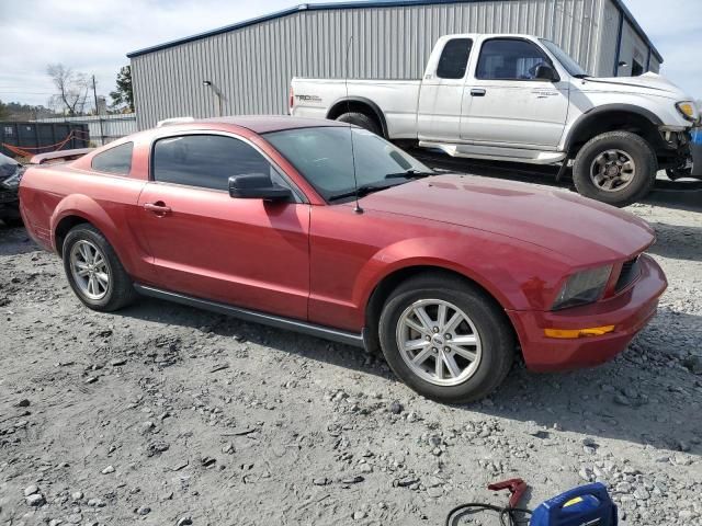 2005 Ford Mustang