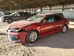Salvage cars for sale from Copart Phoenix, AZ: 2021 Toyota Camry LE
