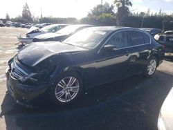 Salvage cars for sale at San Martin, CA auction: 2010 Infiniti G37 Base