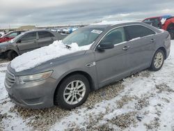 Salvage cars for sale at auction: 2013 Ford Taurus SE