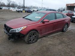 2016 Hyundai Sonata SE for sale in Fort Wayne, IN