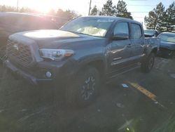 Salvage cars for sale from Copart Denver, CO: 2023 Toyota Tacoma Double Cab