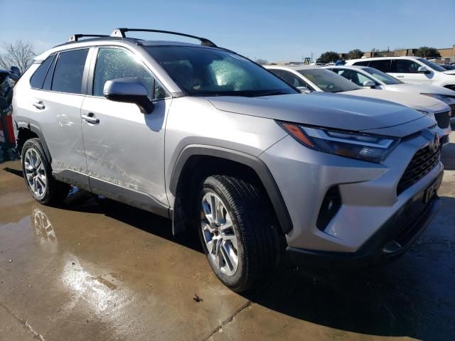 2023 Toyota Rav4 XLE Premium