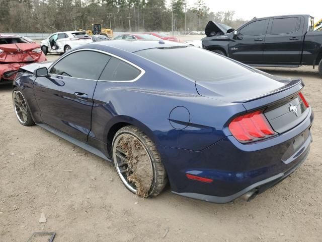 2019 Ford Mustang