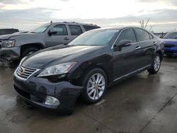 Lexus ES 350 salvage cars for sale: 2011 Lexus ES 350