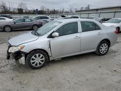 Salvage cars for sale from Copart Walton, KY: 2009 Toyota Corolla Base
