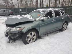 Honda Accord salvage cars for sale: 2010 Honda Accord Crosstour EXL