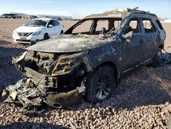 Salvage cars for sale at Phoenix, AZ auction: 2015 Ford Explorer XLT