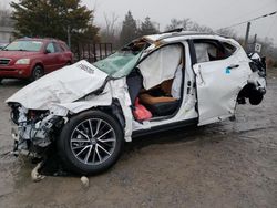 Salvage cars for sale from Copart York Haven, PA: 2023 Lexus NX 350