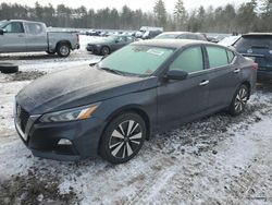 Salvage cars for sale from Copart Windham, ME: 2022 Nissan Altima SV
