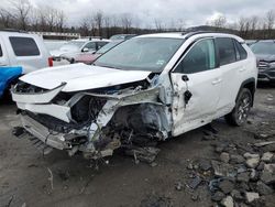 Salvage cars for sale from Copart Marlboro, NY: 2020 Toyota Rav4 XLE Premium