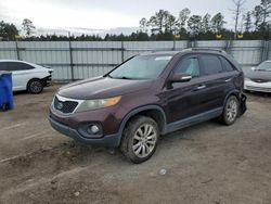 Salvage cars for sale from Copart Harleyville, SC: 2011 KIA Sorento EX
