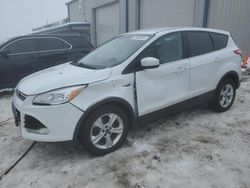 Ford salvage cars for sale: 2014 Ford Escape SE