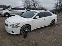 Salvage cars for sale at Baltimore, MD auction: 2010 Nissan Maxima S