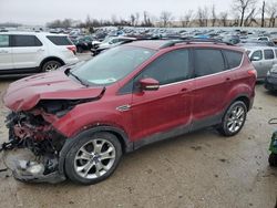 Ford Vehiculos salvage en venta: 2013 Ford Escape SEL