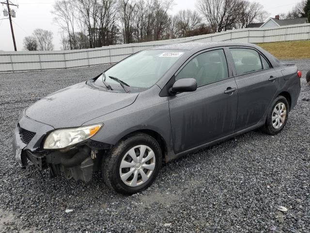 2010 Toyota Corolla Base