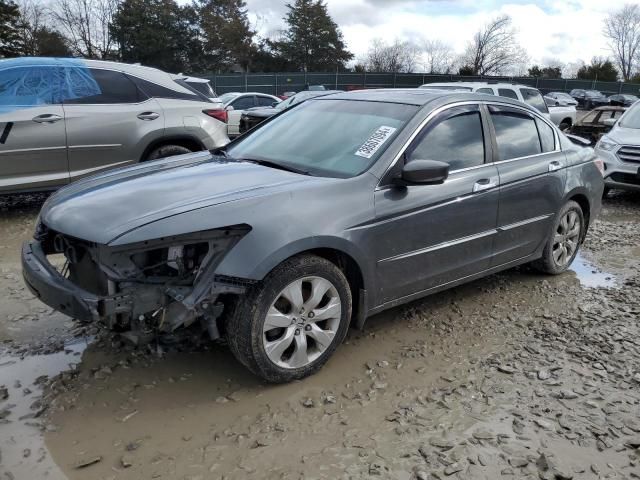 2009 Honda Accord EXL