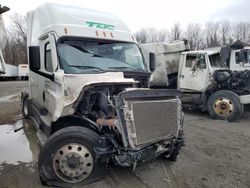 Salvage trucks for sale at Cahokia Heights, IL auction: 2022 Freightliner Cascadia 126