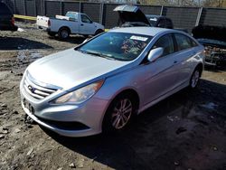 Salvage cars for sale at Waldorf, MD auction: 2014 Hyundai Sonata GLS