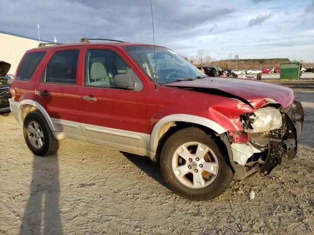 2007 Ford Escape XLT