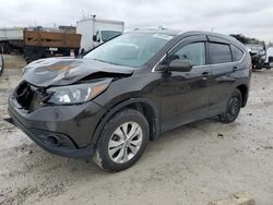 Salvage cars for sale from Copart Walton, KY: 2014 Honda CR-V EXL