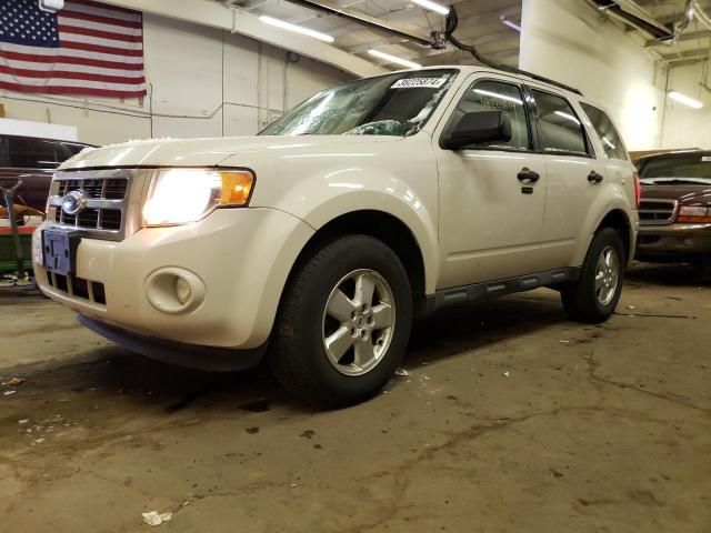 2009 Ford Escape XLT