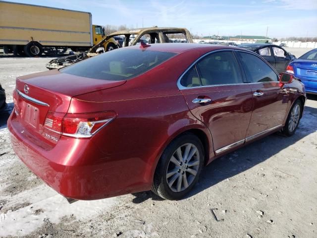 2010 Lexus ES 350