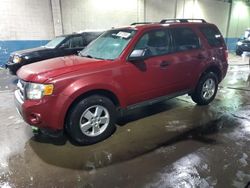 Vehiculos salvage en venta de Copart Woodhaven, MI: 2011 Ford Escape XLT