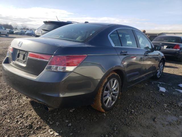 2011 Honda Accord EXL