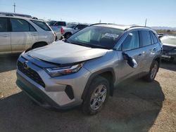 Salvage cars for sale at Tucson, AZ auction: 2023 Toyota Rav4 XLE