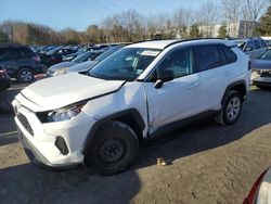 Salvage cars for sale from Copart North Billerica, MA: 2019 Toyota Rav4 LE