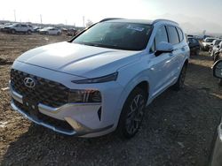 Salvage cars for sale from Copart Magna, UT: 2023 Hyundai Santa FE Calligraphy