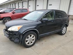 Salvage cars for sale at Louisville, KY auction: 2007 Honda CR-V EXL