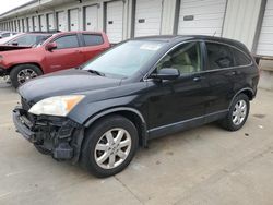 Salvage cars for sale at Lawrenceburg, KY auction: 2007 Honda CR-V EXL