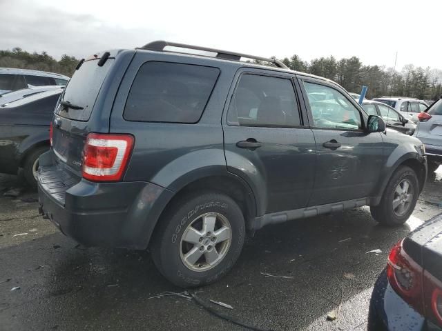 2009 Ford Escape XLT