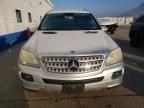 2007 Mercedes-Benz ML 500