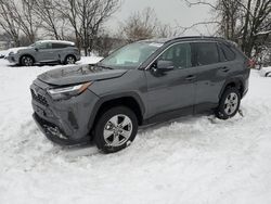 Salvage cars for sale at Baltimore, MD auction: 2023 Toyota Rav4 XLE