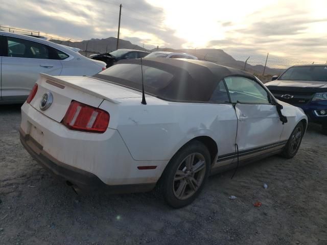 2010 Ford Mustang