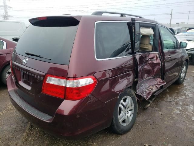 2007 Honda Odyssey EXL