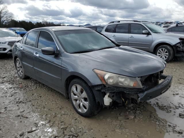 2009 Honda Accord EXL