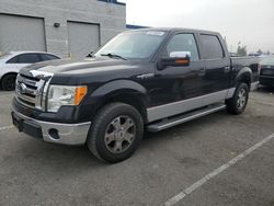 Ford salvage cars for sale: 2012 Ford F150 Supercrew