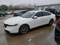 Honda Accord EX Vehiculos salvage en venta: 2023 Honda Accord EX