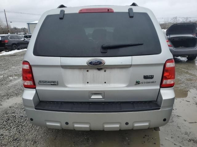 2010 Ford Escape Hybrid