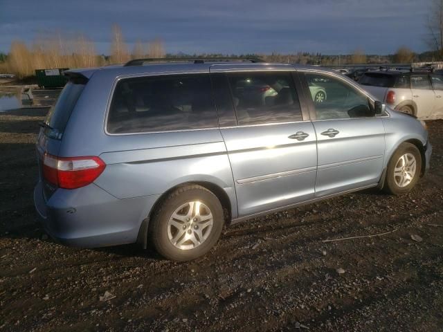 2005 Honda Odyssey EXL