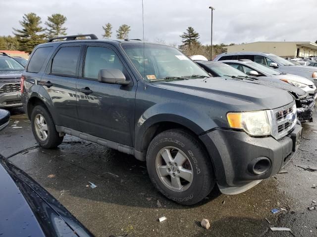 2009 Ford Escape XLT